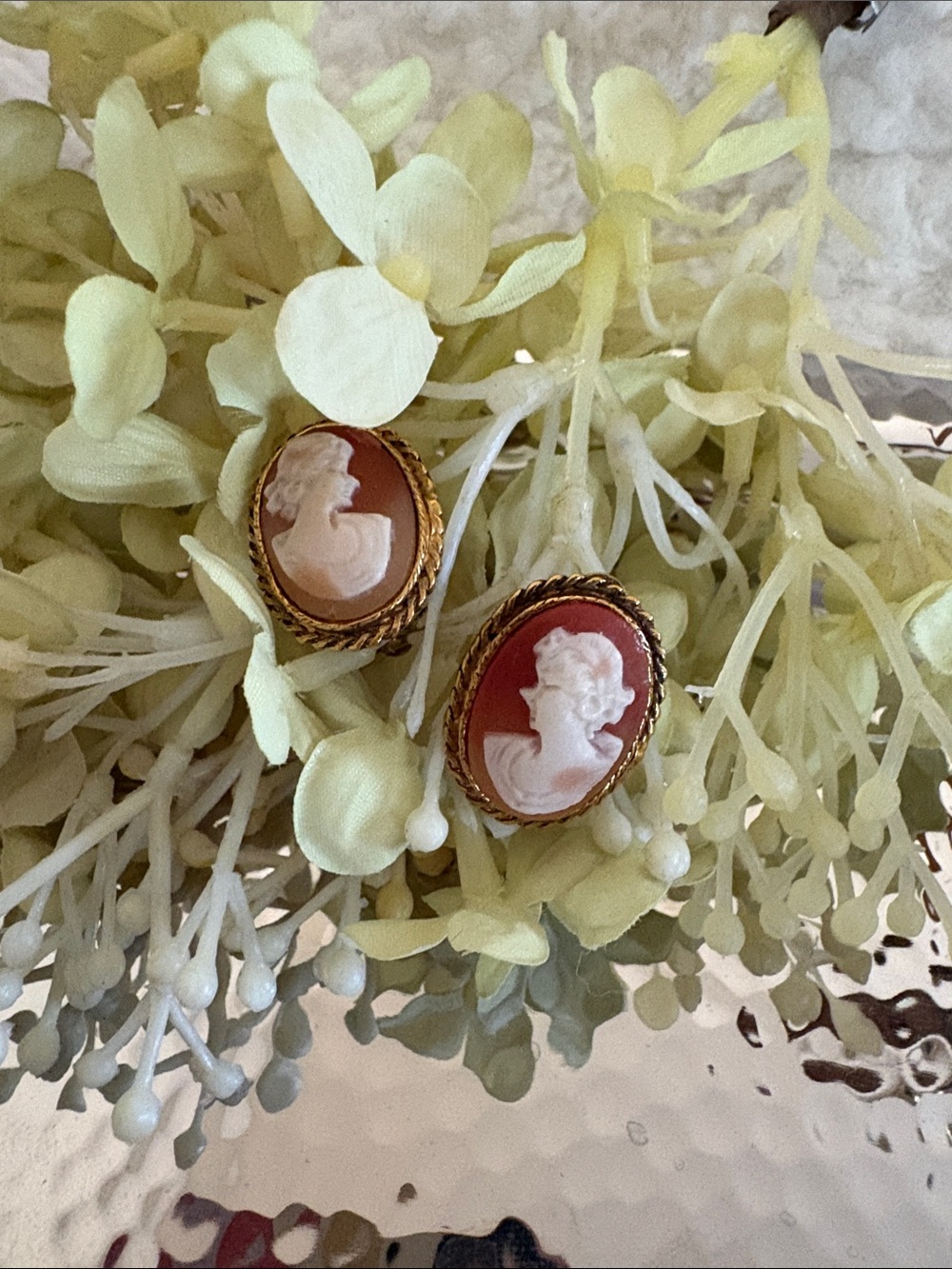 Gold-Tone Red Cameo Clip-on Earrings - Classic Women's Jewelry